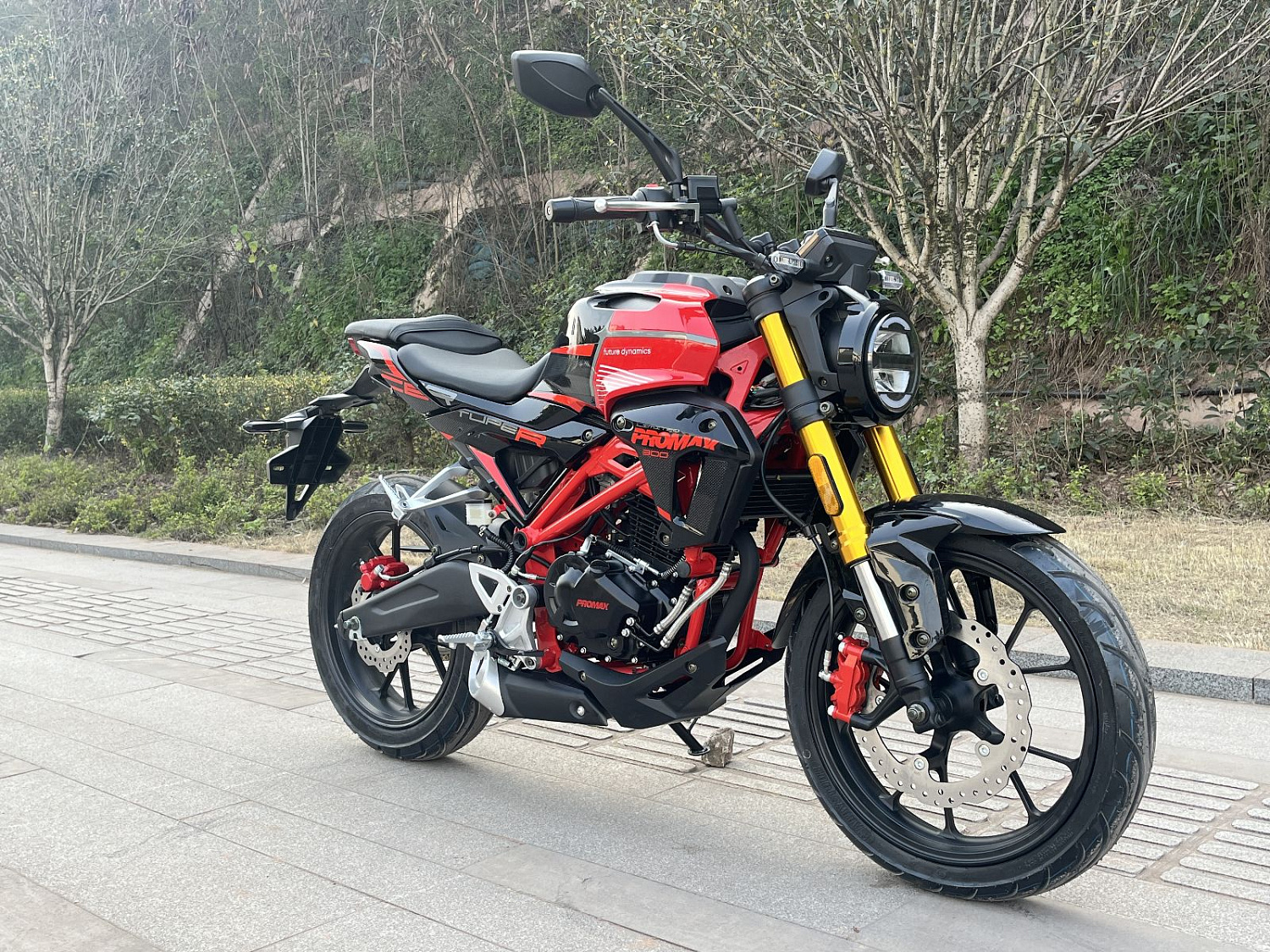 Мотоцикл PROMAX CB300 в Чебоксарах