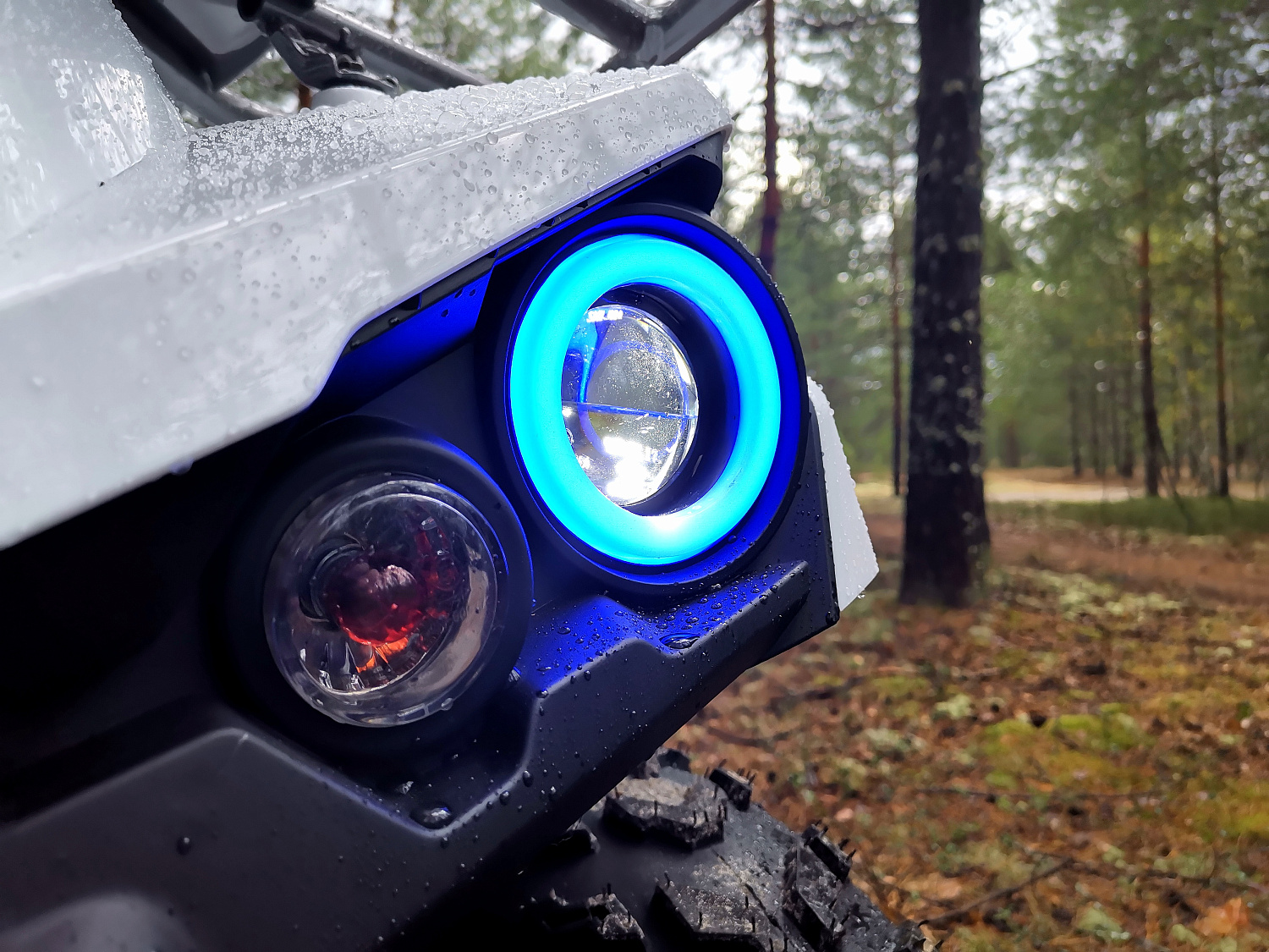 Квадроцикл PROMAX RENEGADE 280 (2025) в Чебоксарах