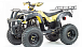 Квадроцикл MOTOLAND (МОТОЛЕНД) 250 ADVENTURE в Чебоксарах