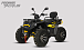 Квадроцикл PROMAX TAURUS 300 MAX-PRO LONG в Чебоксарах