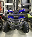Квадроцикл PROMAX WILD 2.0 190 PRO (2025) в Чебоксарах